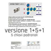 17276898216629-motturavariosystemfunzionedidisabilitazionechiavepersaorubatapercilindrimottura